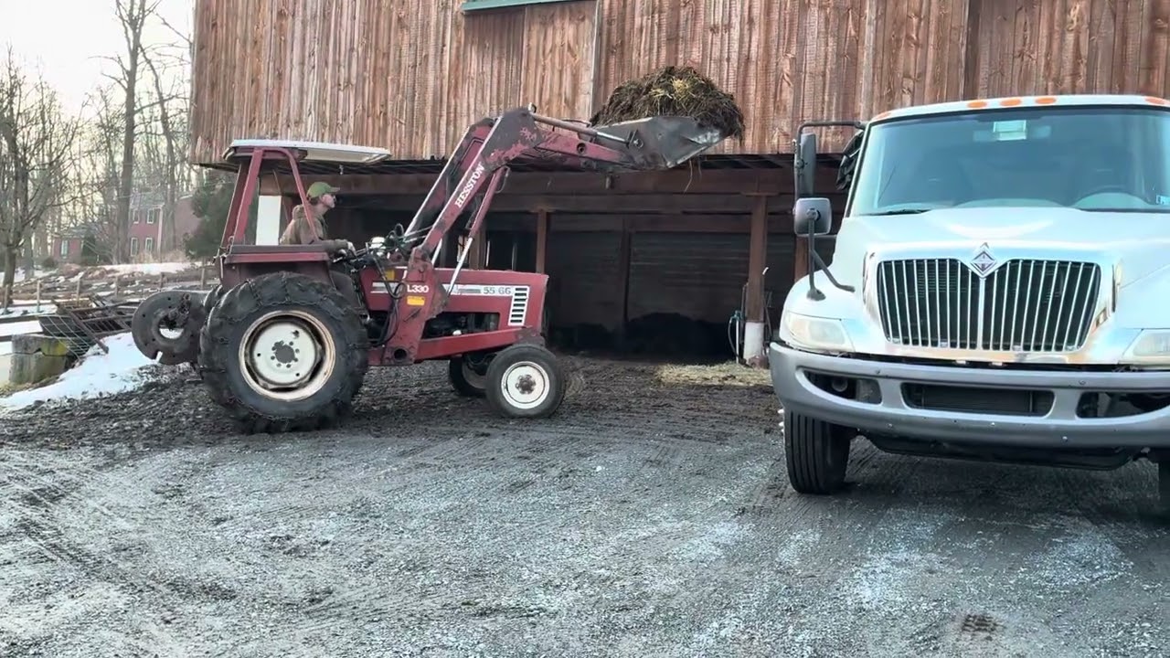 Heston cleaning out cow pen for the cows