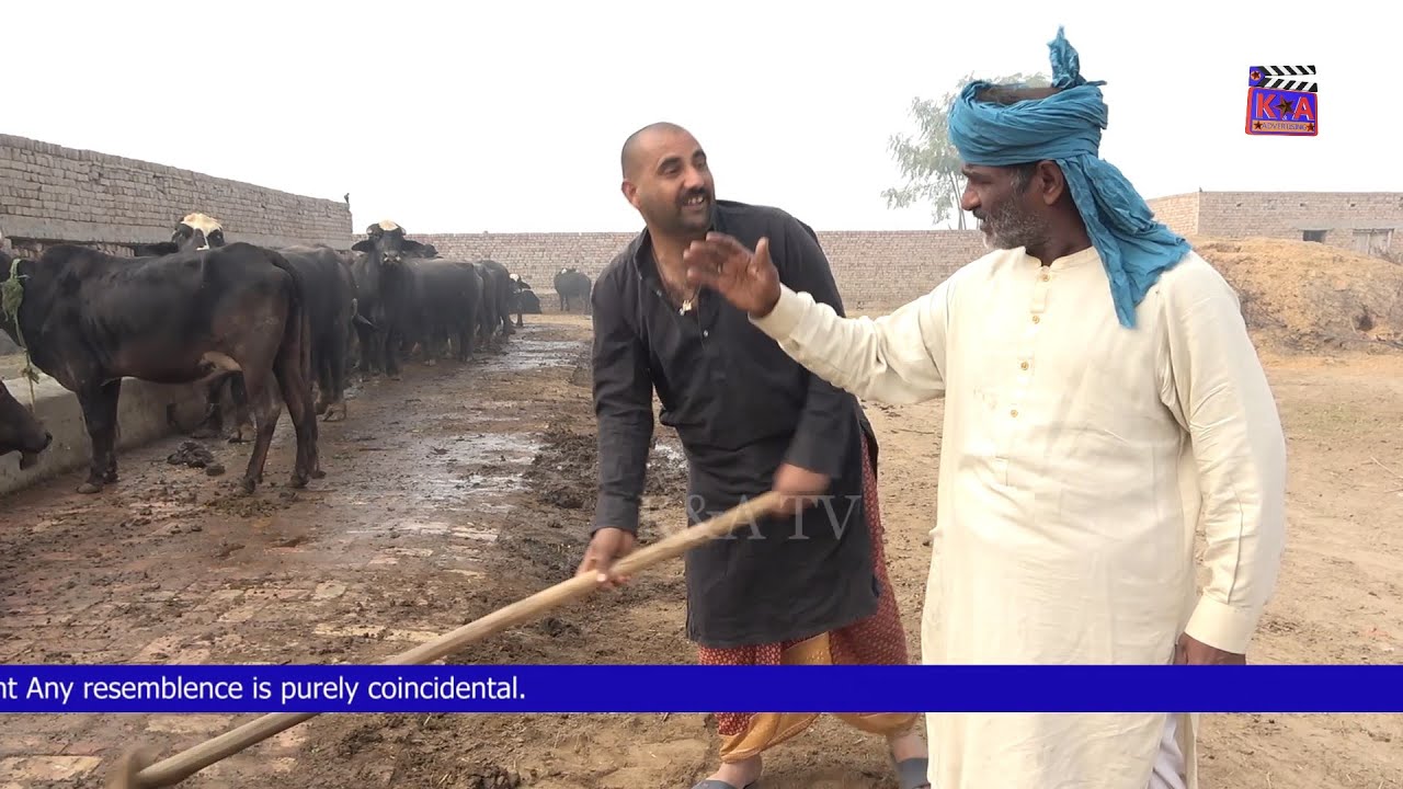 Nokar vs Chodhry | Airport | Helmet | 1122 Preeto | New Punjabi Comedy | Funny clip | K&A TV