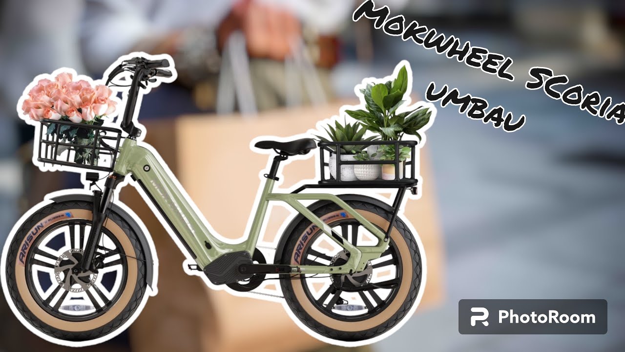 Mokwheel Scoria umbau zum Mini Lastenrad / E-Bike