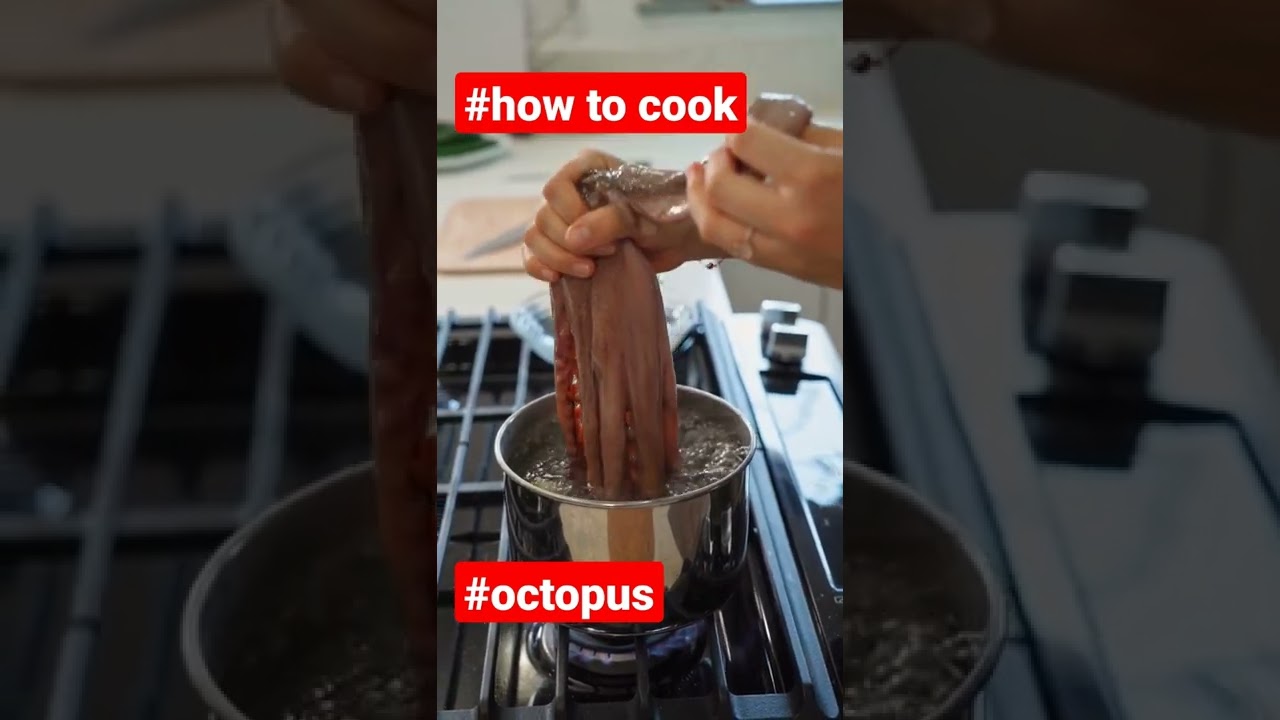 Octopus in a boiling water. How to cook an octopus.