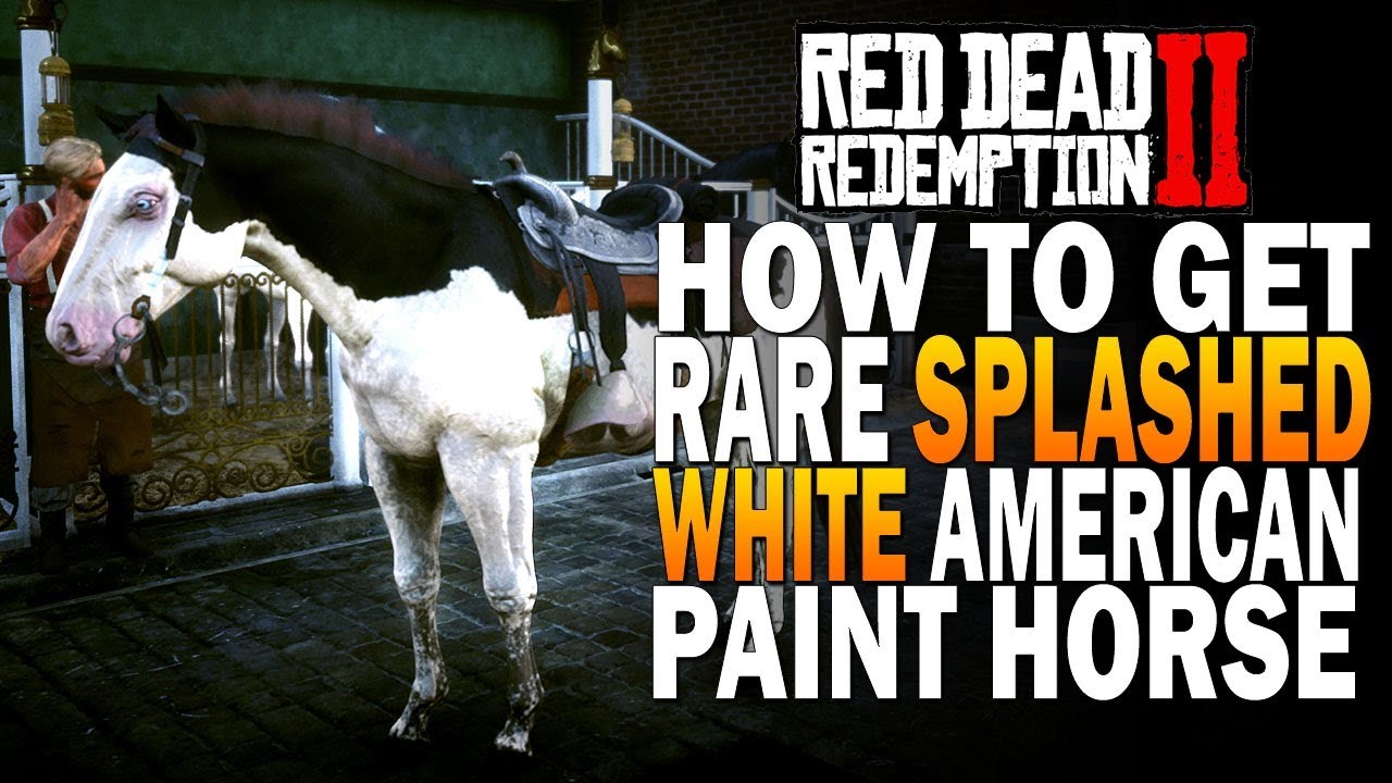 How to Get The Rare Splashed White American Paint Horse! Red Dead Redemption 2 Horses [RDR2]