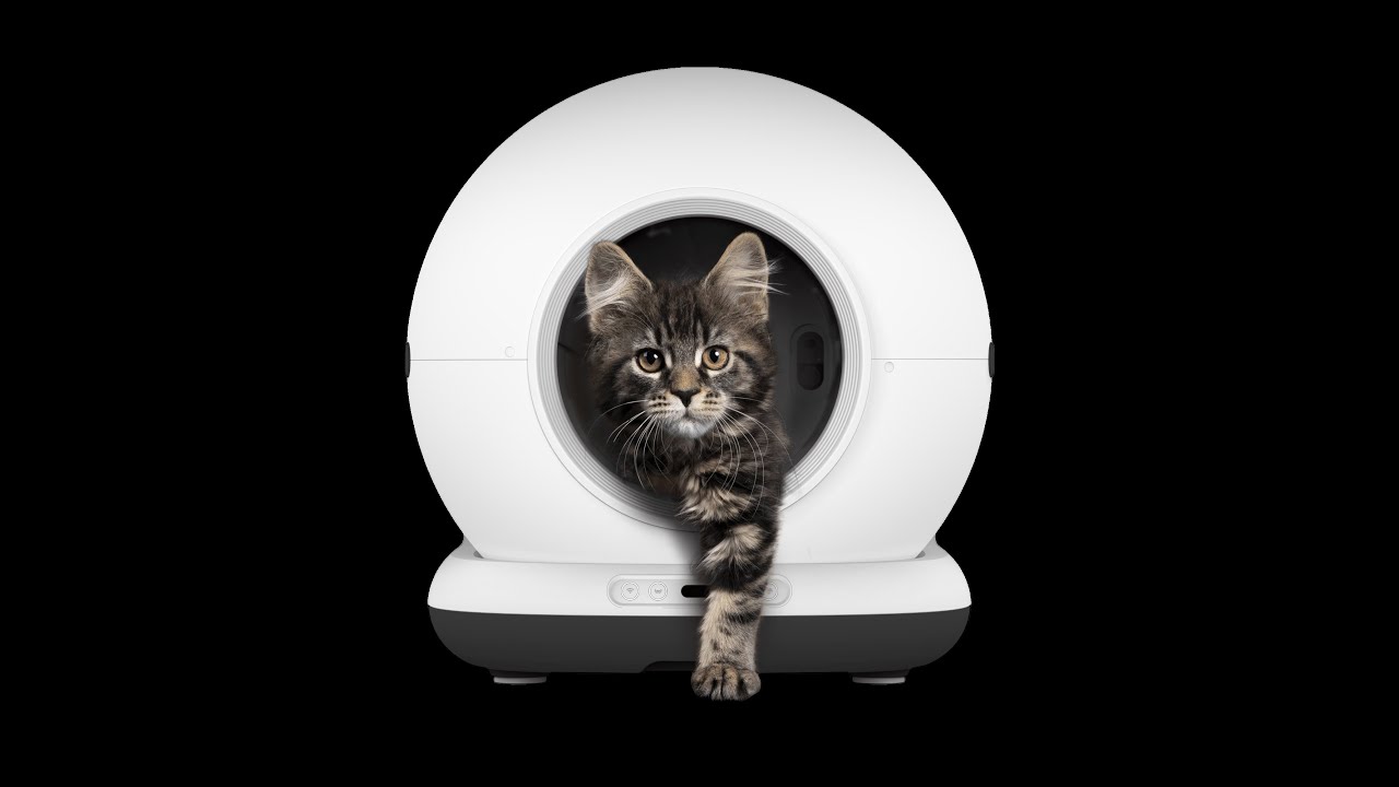 Automatische kattenbak | ZEDAR K1200 (Zelfreinigende Kattenbak)