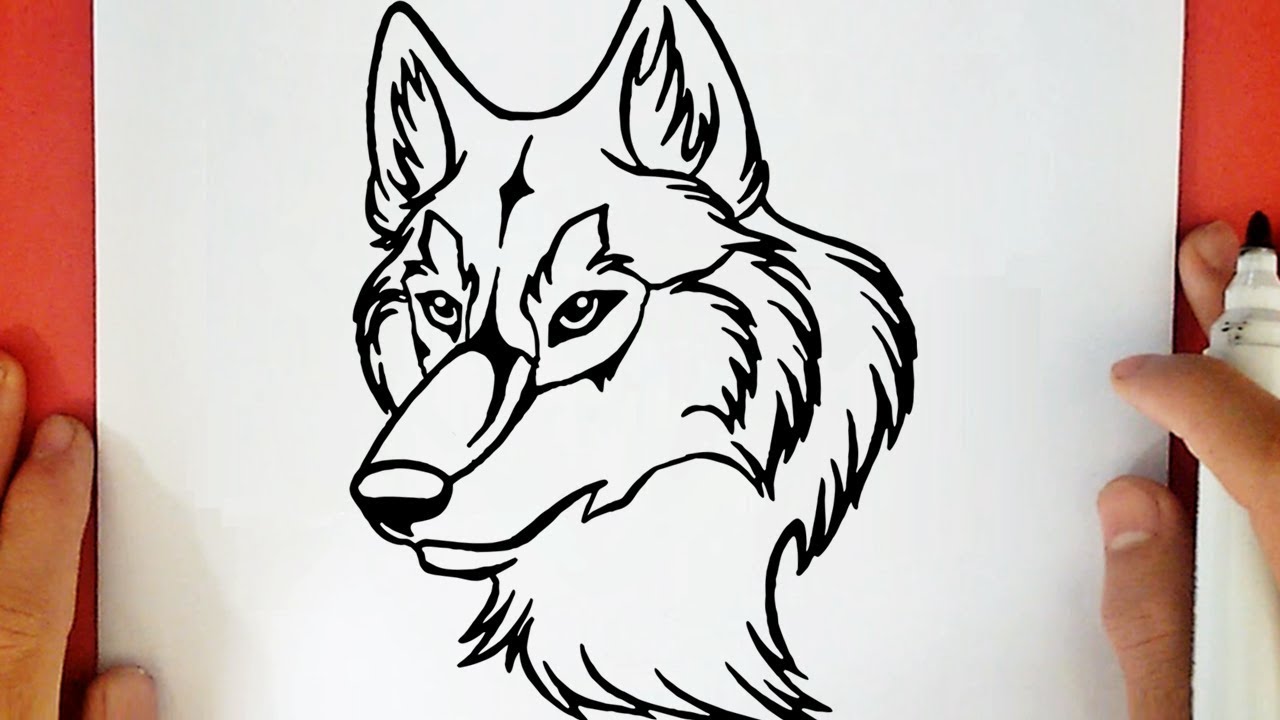 COMO DESENHAR UM LOBO