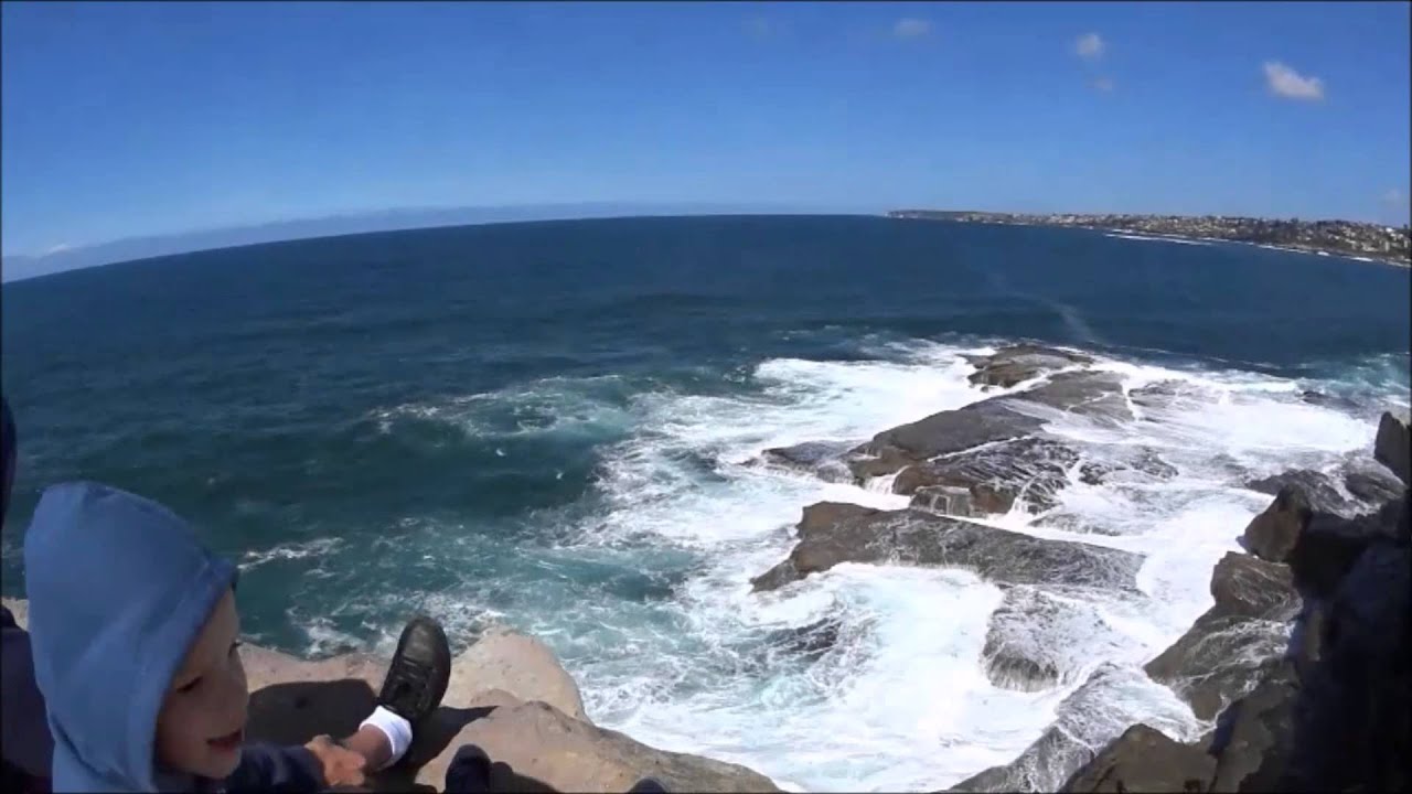 Spring in Sydney