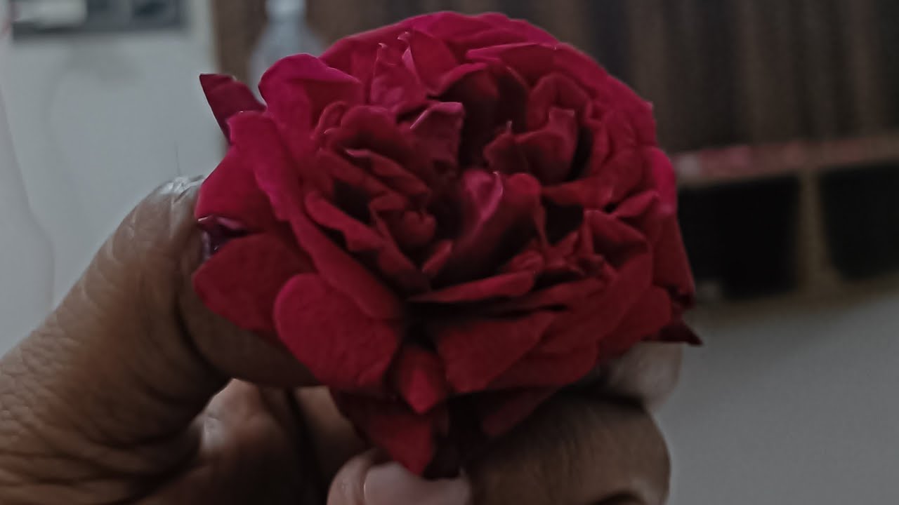 jai shree mahakal 🙏 ☺️💞