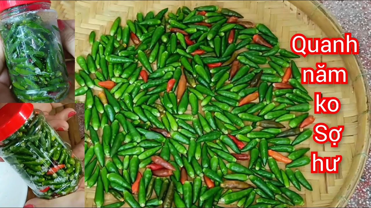 Cách Bảo Quản Ớt Tươi Ăn Lâu Không Bị Hỏng 🍀Mẹo Hay Nhà Bếp