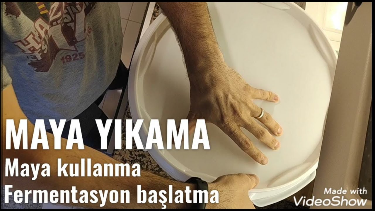 Maya yıkama nasıl yapılır. Maya kazanımı nasıl yapılır. Fermantasyon başlatma.