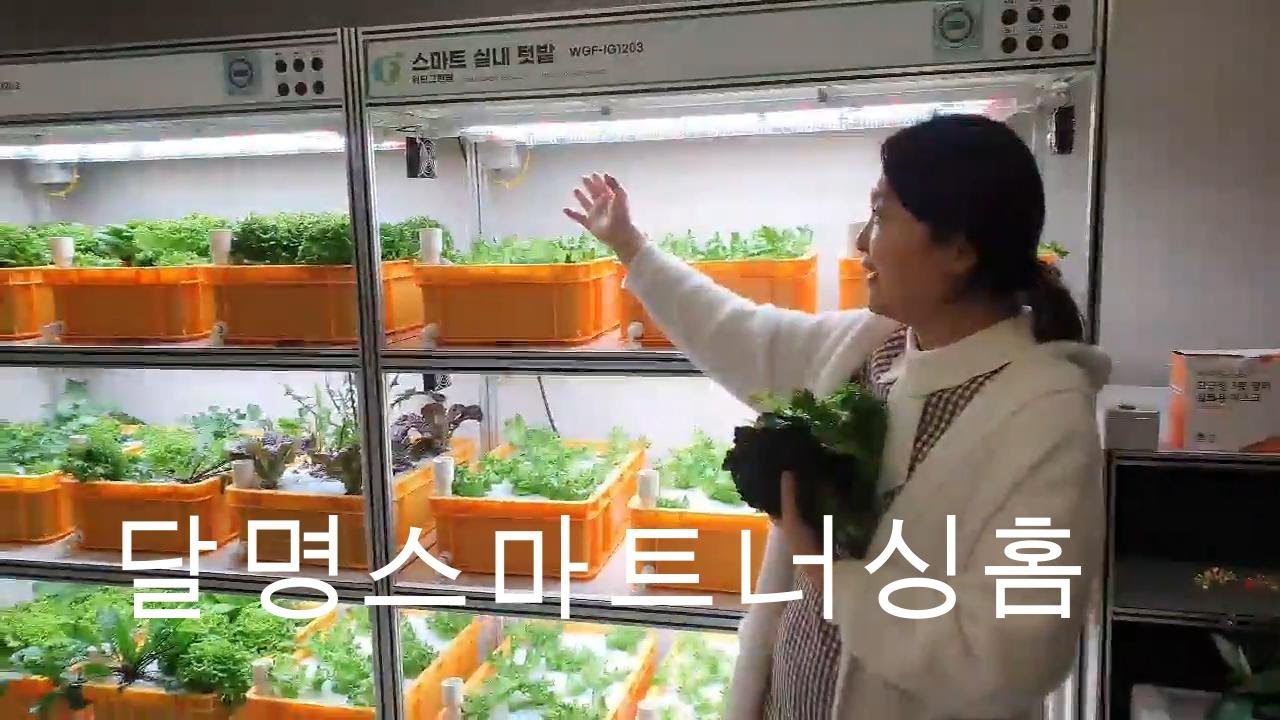 국내최초수준의 달명스마트너싱홈 스마트팜. #요양원 #요양원입소 #요양원추천 #요양원비용 #요양원프로그램 #요양원난방 #프리미엄요양원 #너싱홈 #스마트팜 
