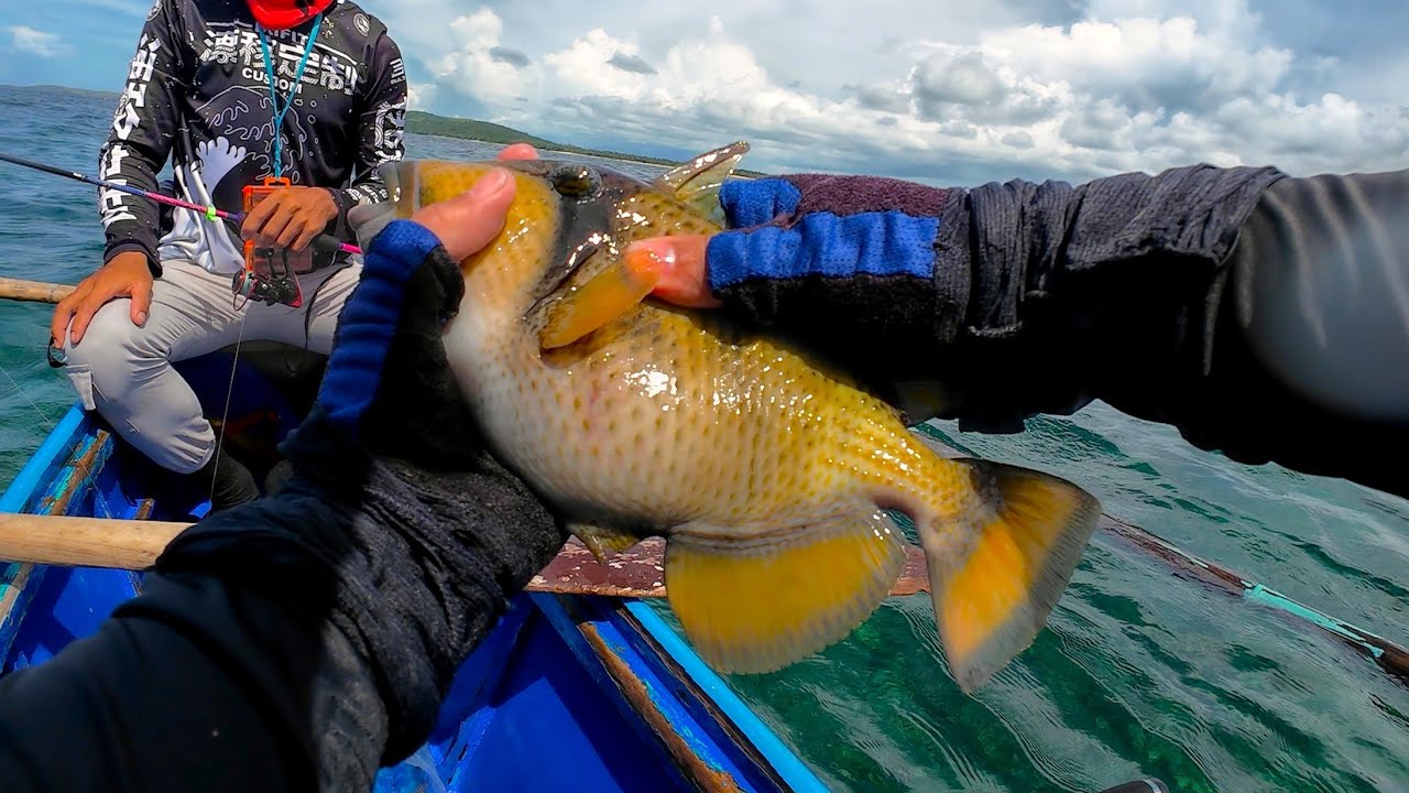 Unplanned Fishing Adventure: First time catching a Trigger Fish on lure