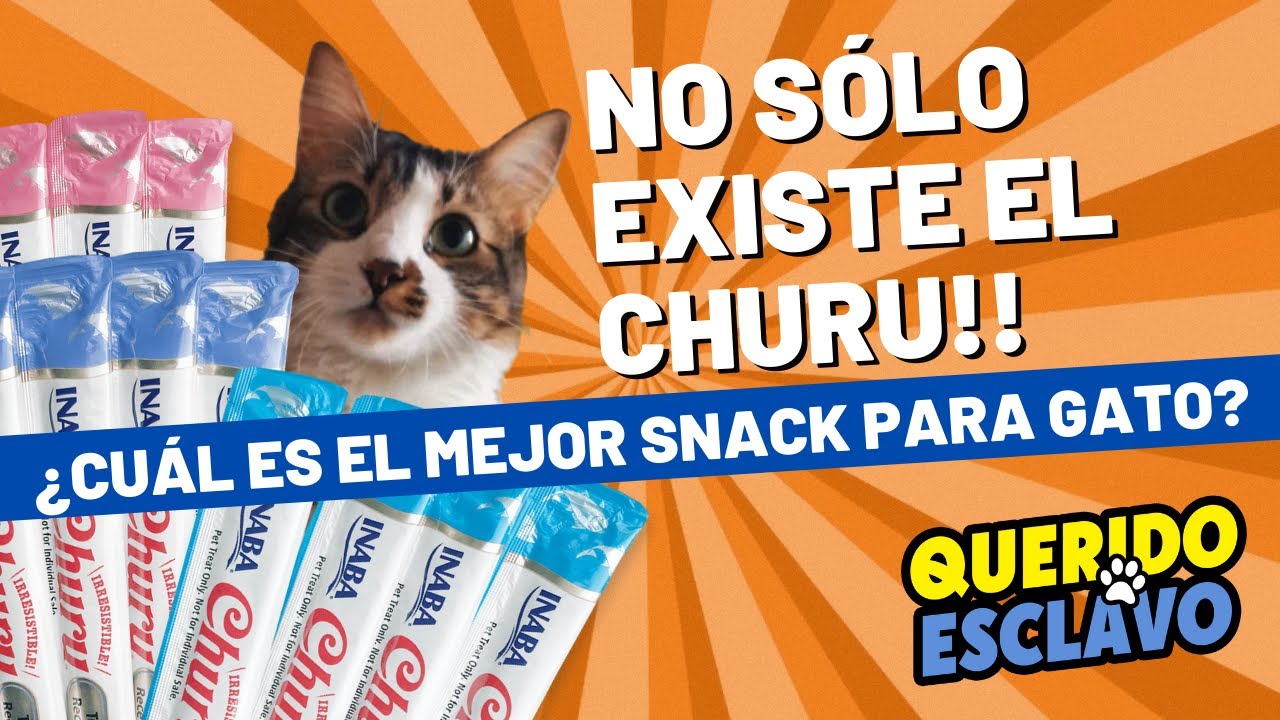 Gatos y Churu - ¿Cuál es el mejor Snack Cremoso para tu Gato? - Golosinas para Gato