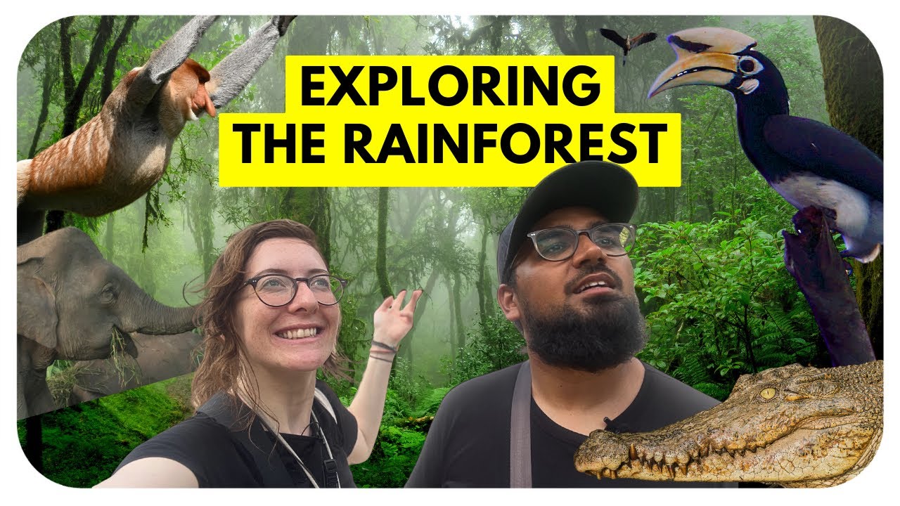 A Crazy Wildlife Experience | Animal Lovers Shouldn't Miss!