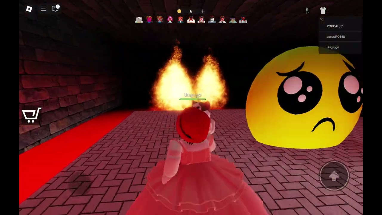 我在玩Roblox的zooo（完整版）