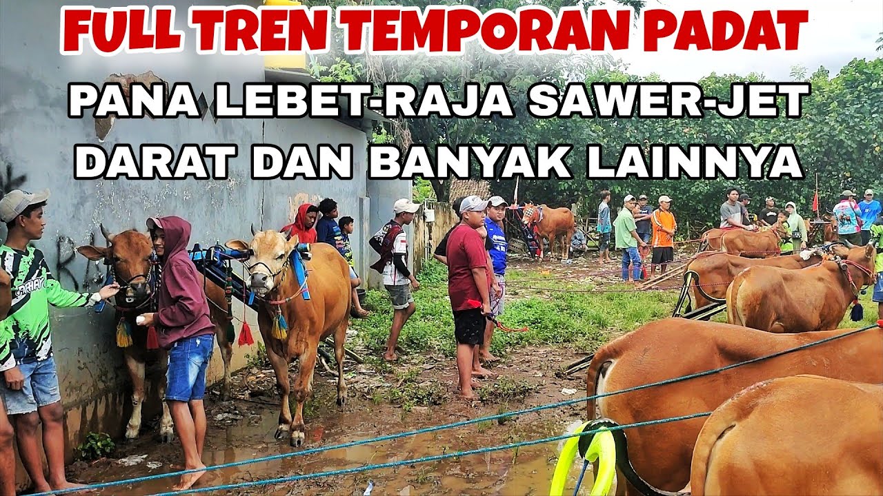 TREN TERAKHIR MENUNU HUT PERDANA MENTERI DI TEMPORAN || PADAT YANG LATIHAN PROBOLINGGO & LUMAJANG