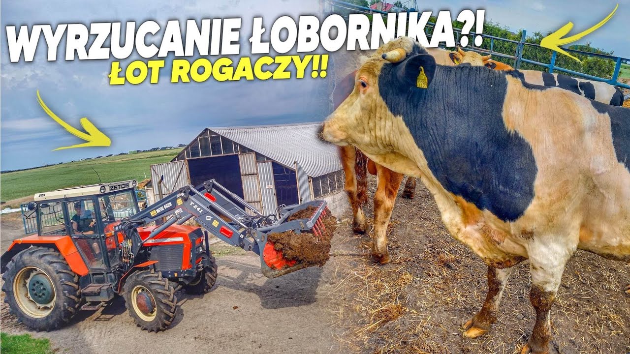 Wyrzucanie Łobornika łot Rogaczy!💩 Majka nam pomaga! Upał i wkońcu deszcz!🔥NIEMENÓWKA#43