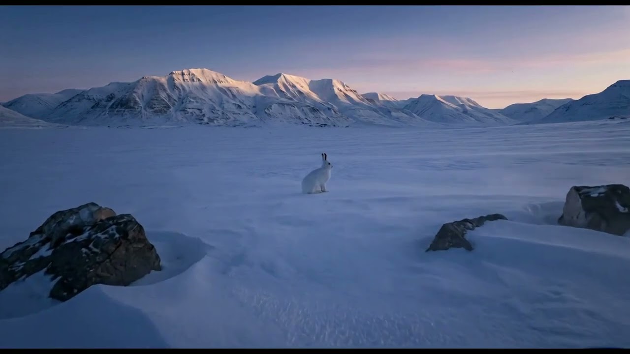 A Quiet Place, Light, and Soft Jazz - Piano Cozy Nature Compilation