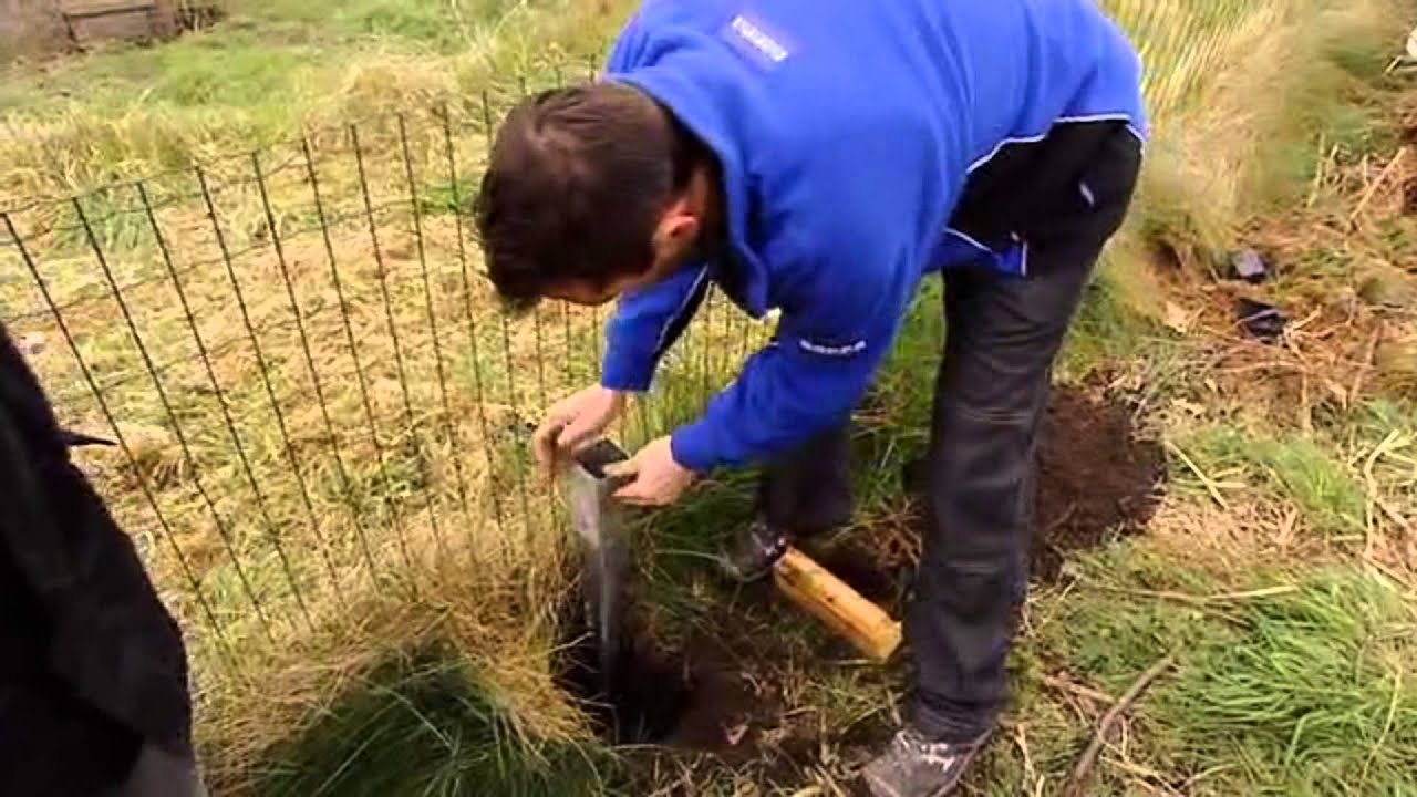 Houten tuinschermen plaatsen - Tuinaanleg | GAMMA België