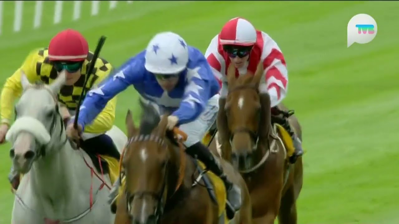2025 Dubai Duty Free Rockingham Handicap - Keke (嬉笑) - B.Lee