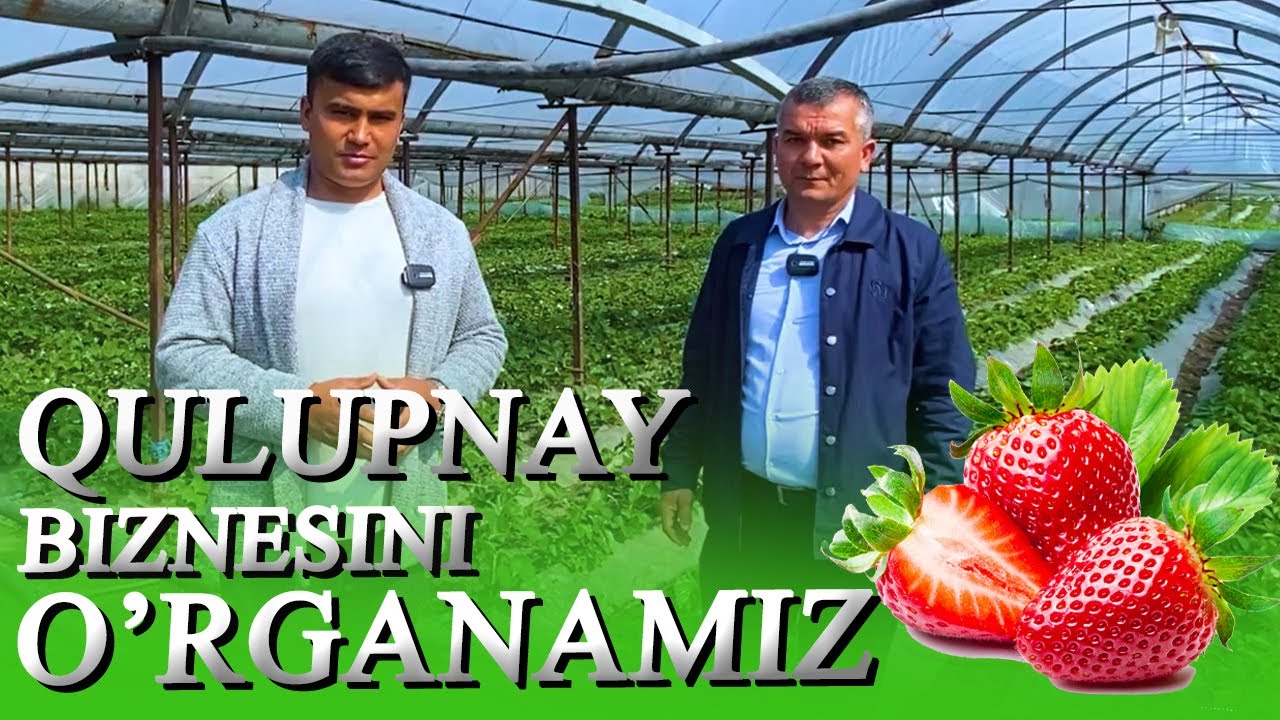 ҚУЛУПНАЙ БИЗНEСИНИ ЎРГАНАМИЗ