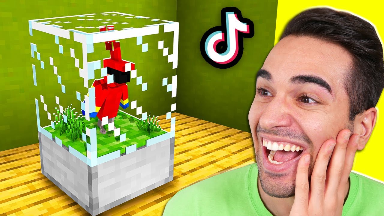 USO I TIK TOK PER COSTRUIRE MEGLIO SU MINECRAFT