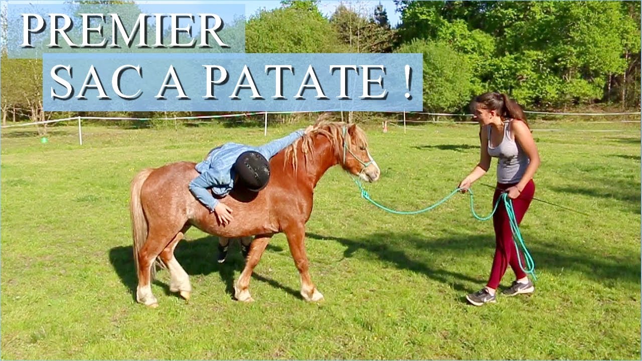 PREMIER SAC A PATATE - Ace est travaillé par une amie !!