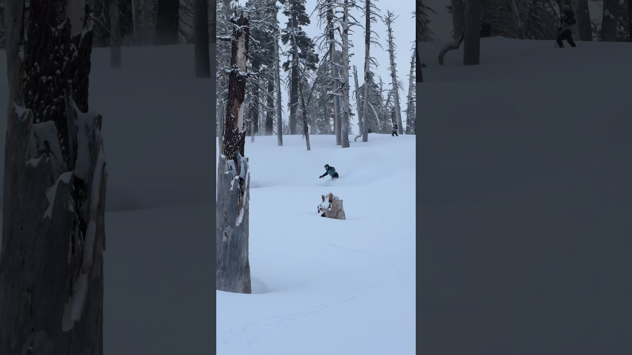 The BEST pow turns of MY LIFE on my snowboard! #laketahoe #snowboarding #powder