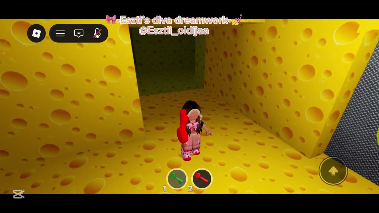 🧀•Cheese escape | part 1•🐀