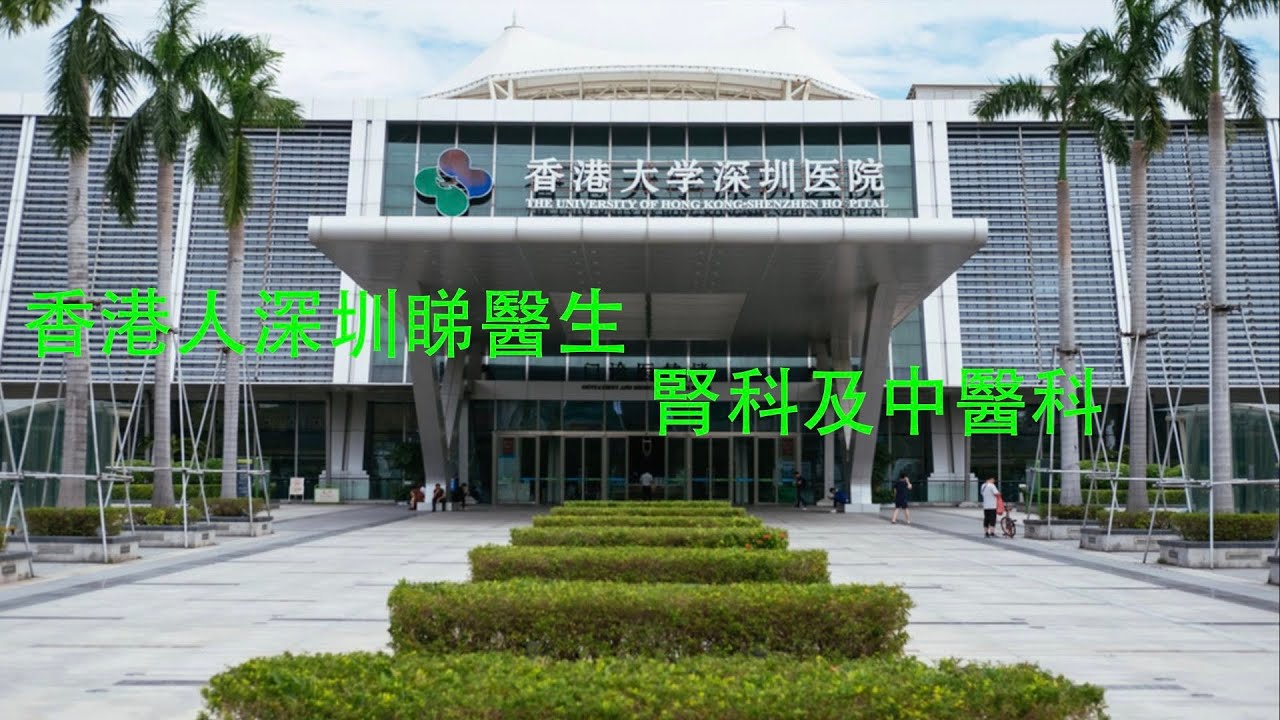 港人深圳睇醫生-腎科及中醫科