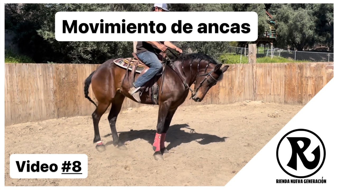 VIDEO #8: Movimiento de Ancas. Sistema Completo Rienda Nueva Generación