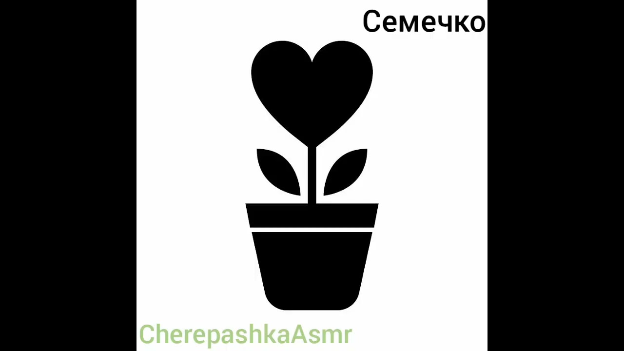 ASMR Совместный уход за цветами Caring for flowers together 