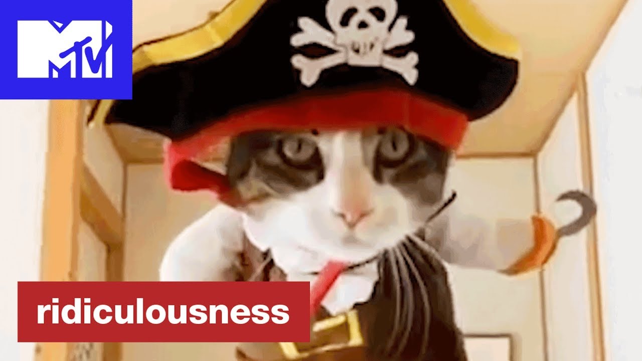 Most Ridiculous Pets 😺 | Ridiculousness | MTV