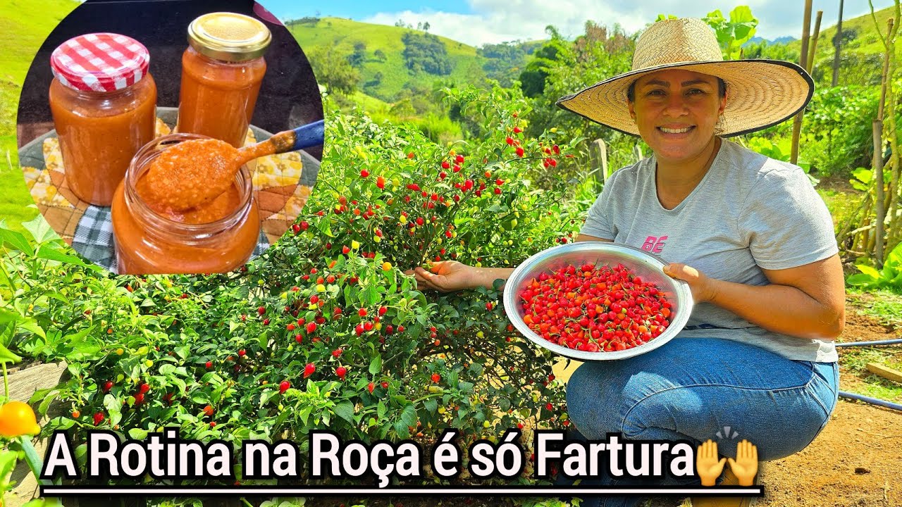 MOLHO DE PIMENTA BIQUINHO É DE ABRIR O APETITE+COLHEITA NA HORTA+JANTA NO FOGÃO A LENHA.