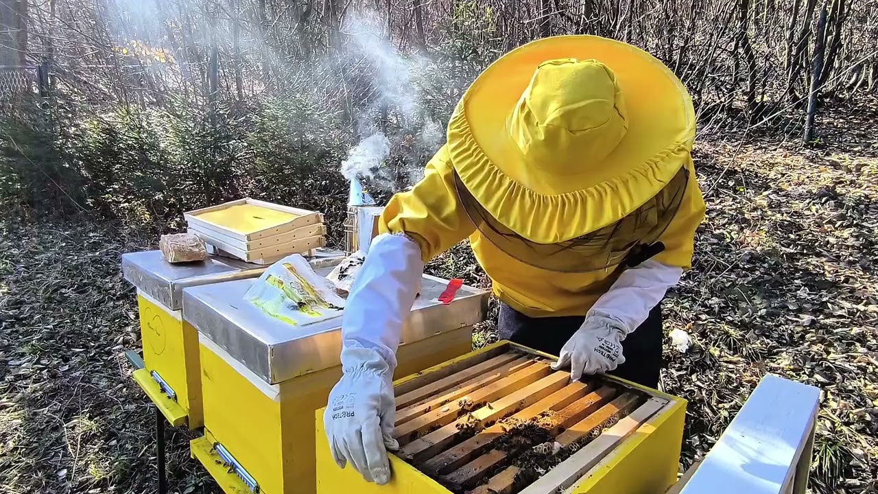🐝✨ Prvi Pregled Košnica u 2025. – Ramovi, Med i Pčelinja Magija! 🍯