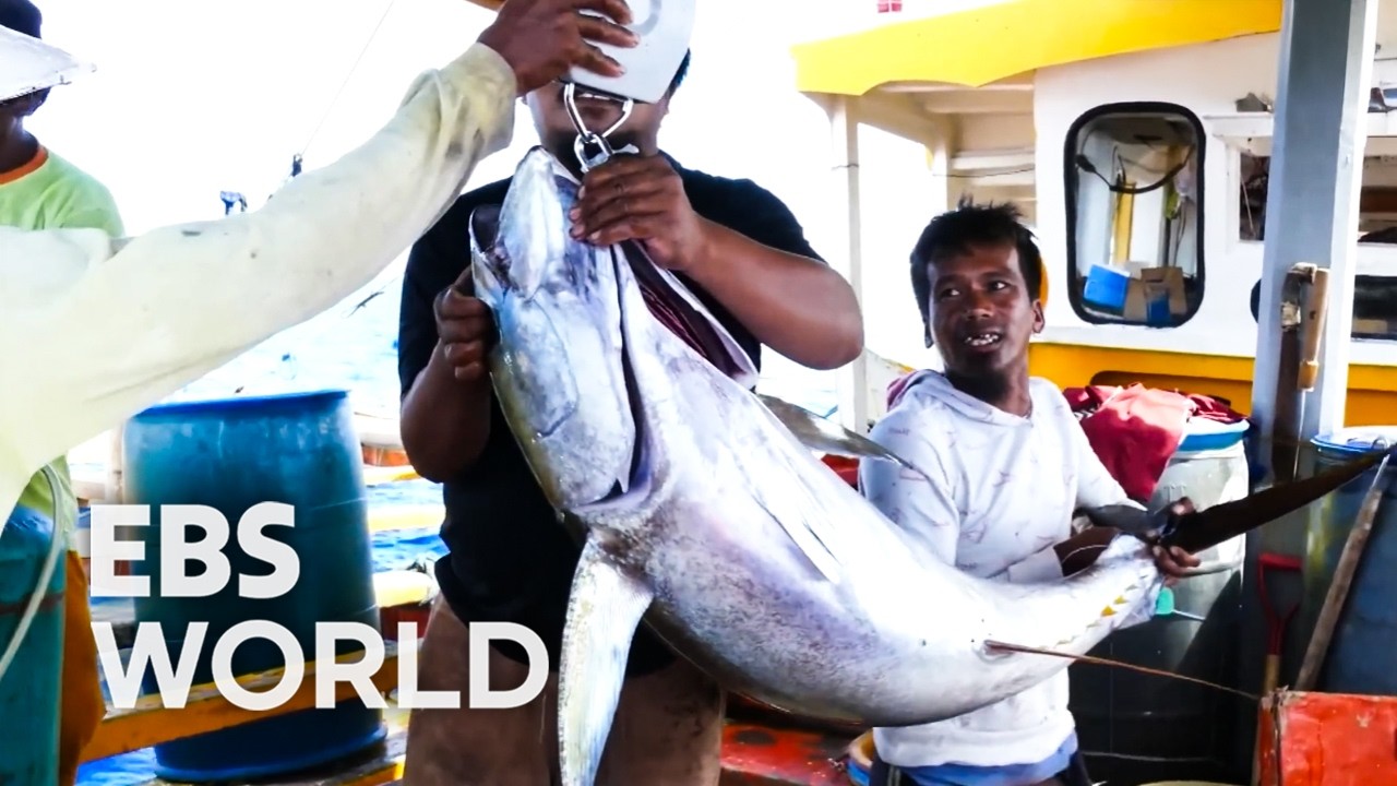 [ENG SUB] Massive Tuna Swarm The Boat With Just One Strange Bait 