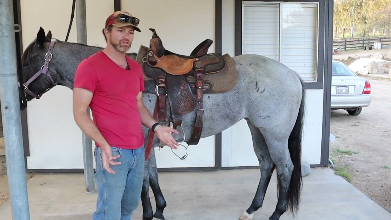 Beginner Series #6: Properly Saddling Your Horse | Essential Saddling Techniques | Lazy Oaks Ranch