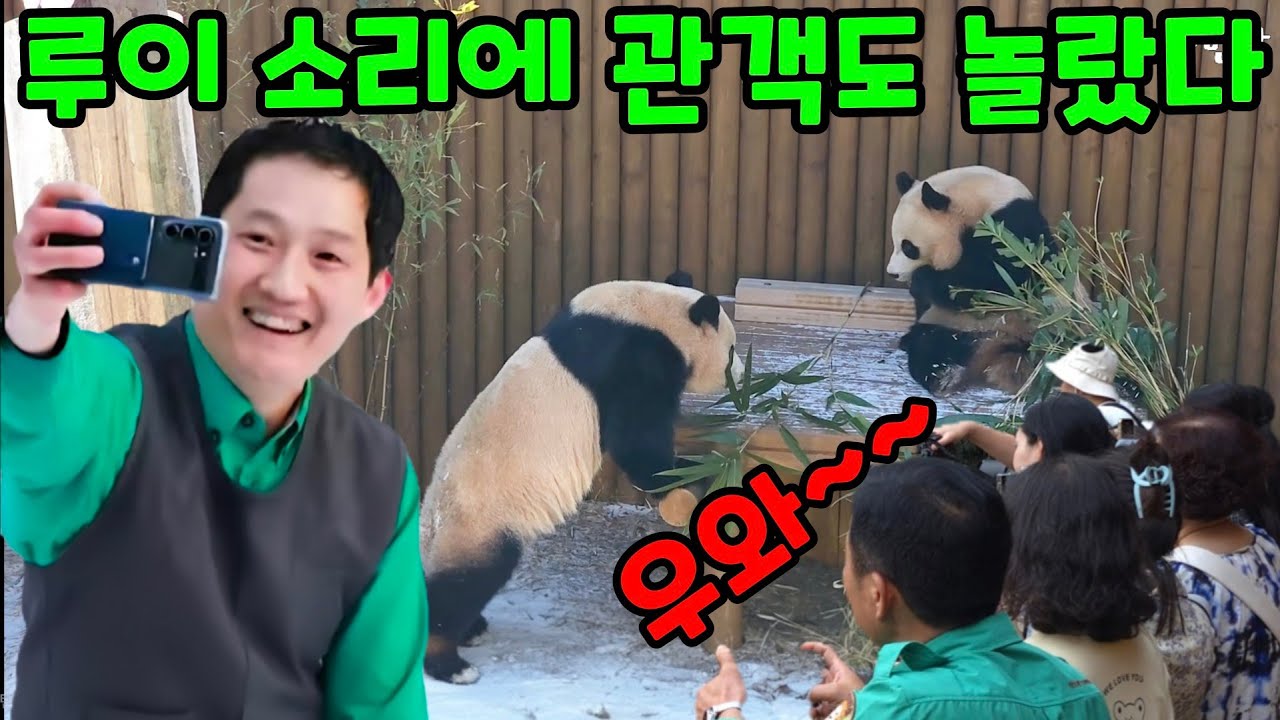 2026년 2월 8일 루이 소리에 관객들 발칵 뒤집어 이유 우와~~ 에버랜드 판다월드 세컨하우스 
