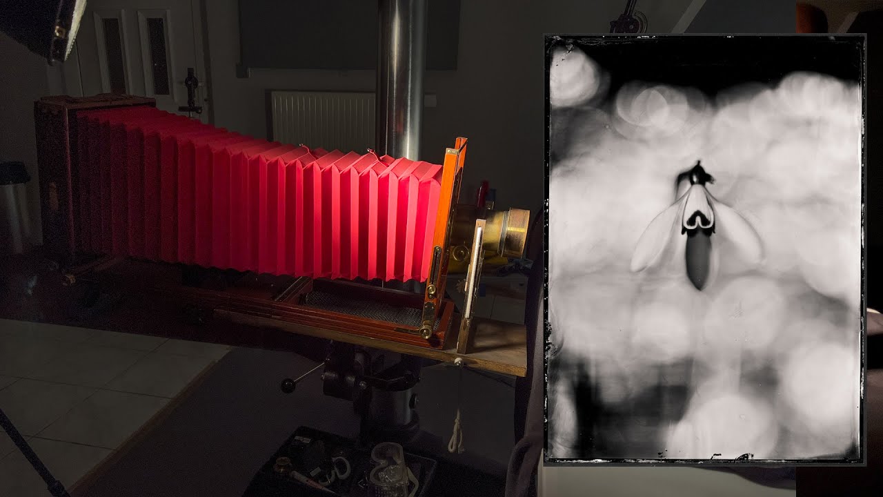 Spring Dreaming - a tintype story