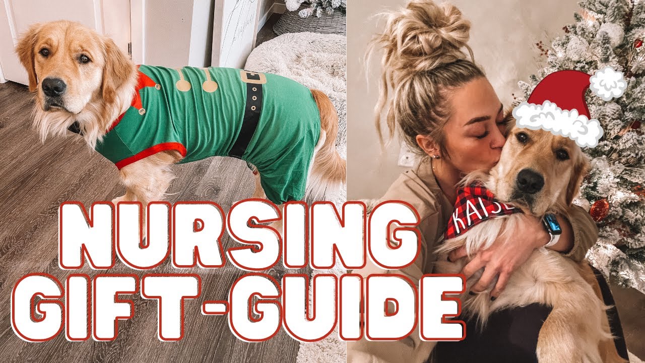 NURSING EDITION // 50+ GIFT IDEAS 