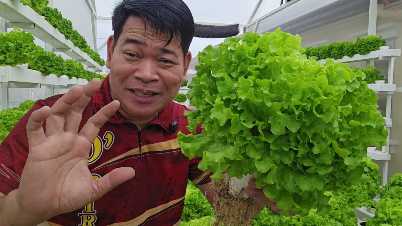 51-DAYS: Tinimbang ko sila, mahigit 600-grams ang bawat isa