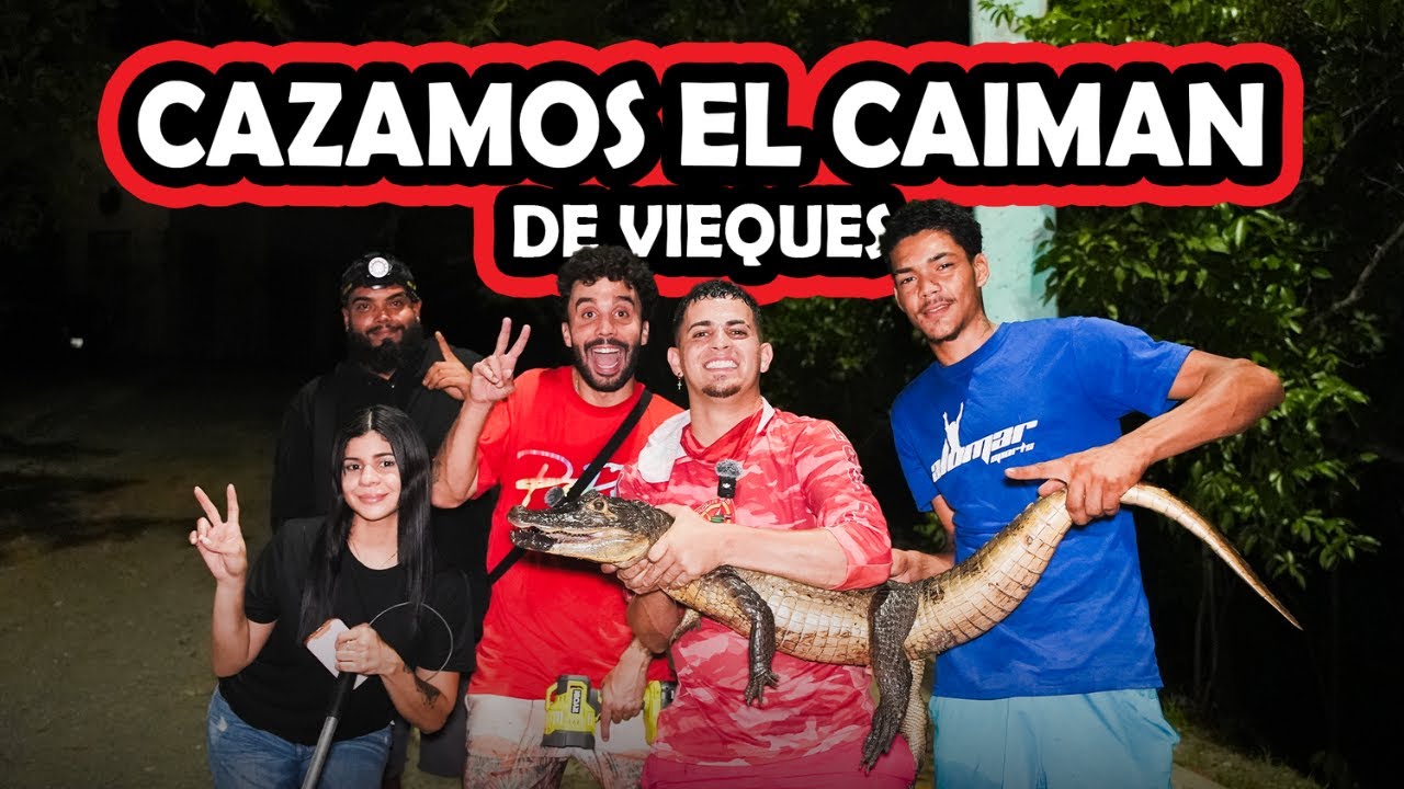 Volví a Vieques con Gongo Fishing Para Capturar el Caiman 🐊