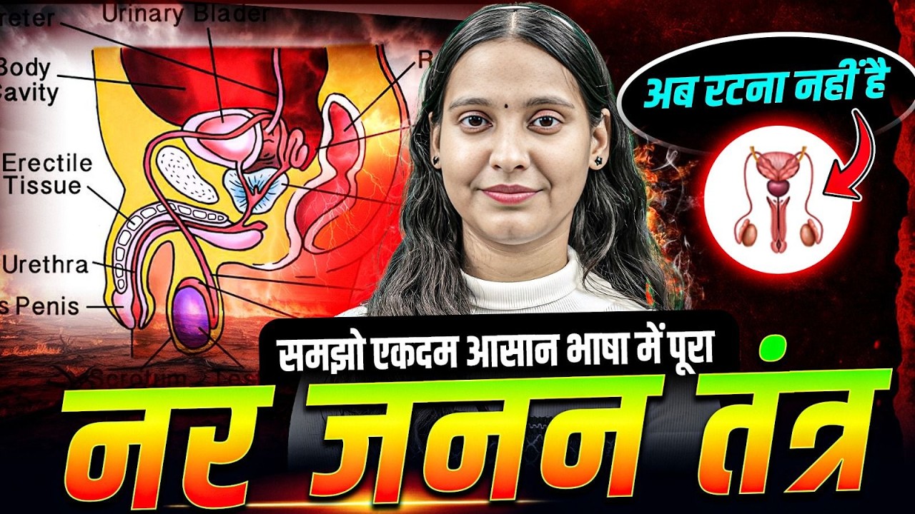 नर जनन मंत्र | Male Reproductive System Full Chapter | Class 12 Biology | By Nidhi Ma'am