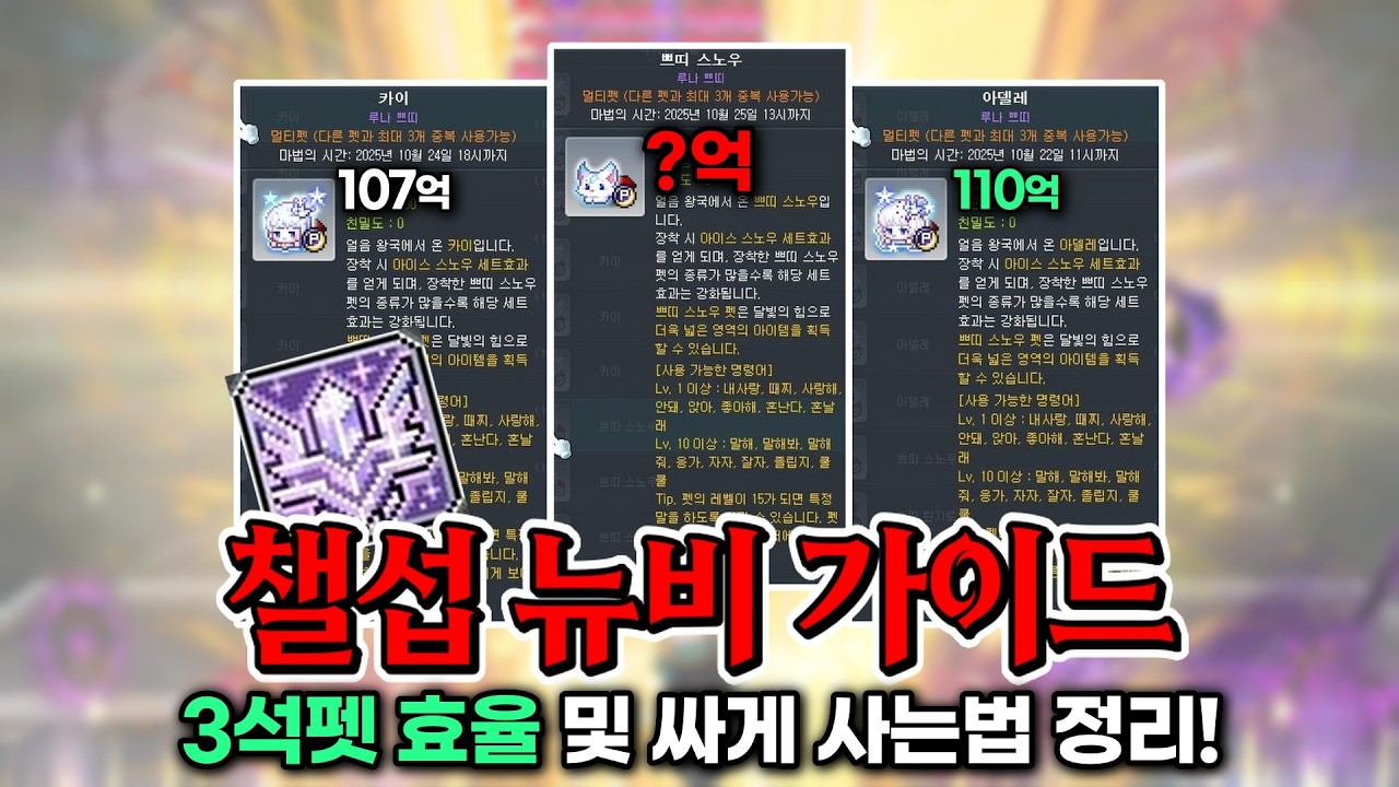 챌섭 3석펫이 고민된다면? 일단 클릭! (feat.챌린저스 월드 시즌 3/자석펫) [메이플/불독비숍광부/KMS]