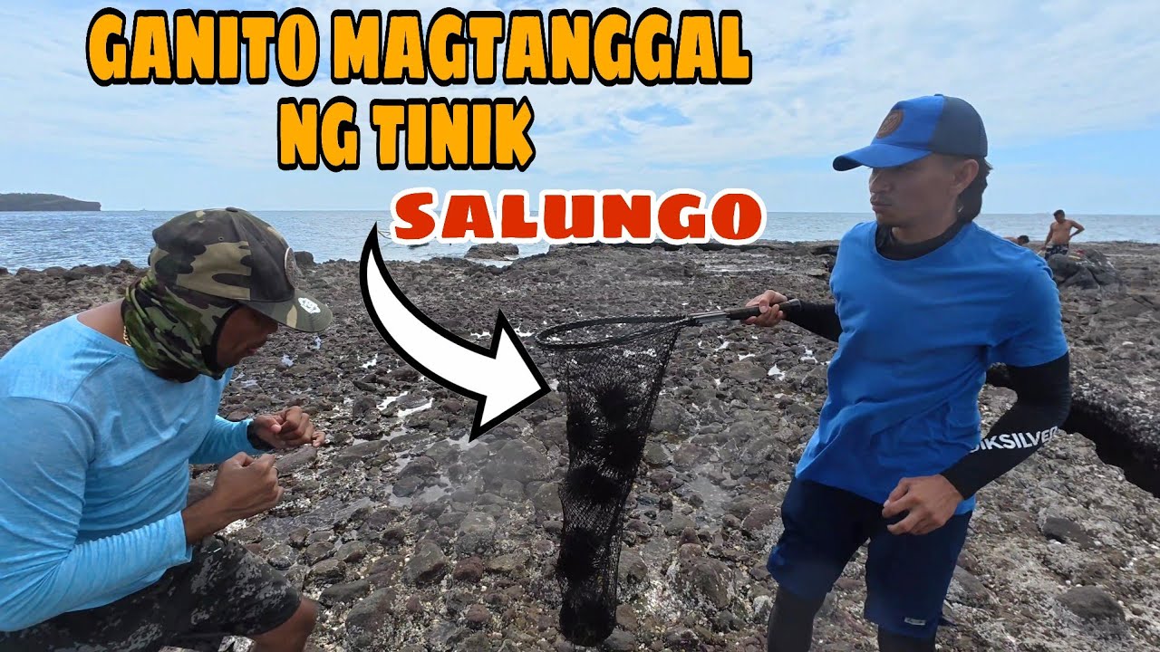 PAANO TANGGALIN ANG MGA TINIK NG SALUNGO | SINUNTOK