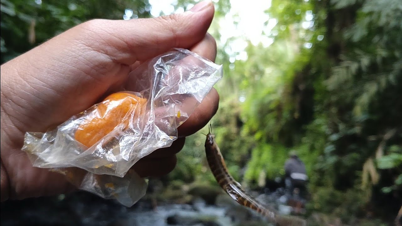 Susur Sungai Eps 1 
