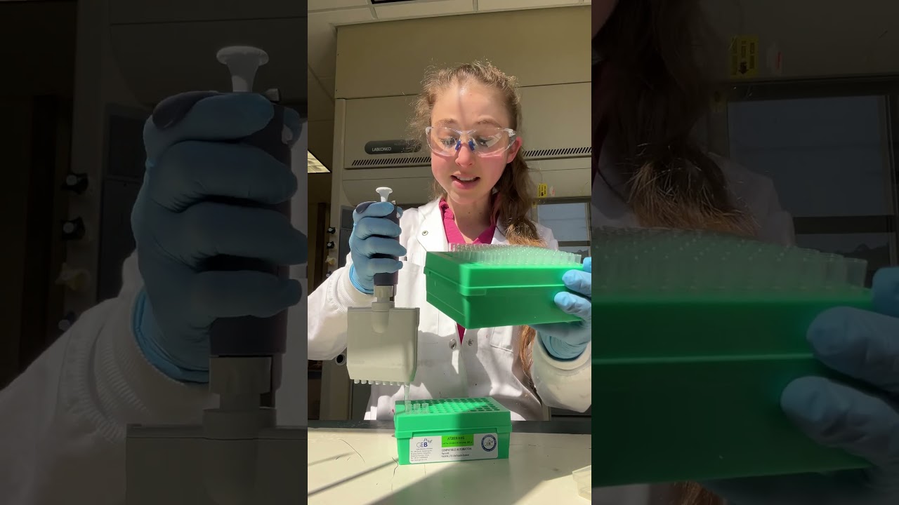 Quick tips for using a multichannel pipet