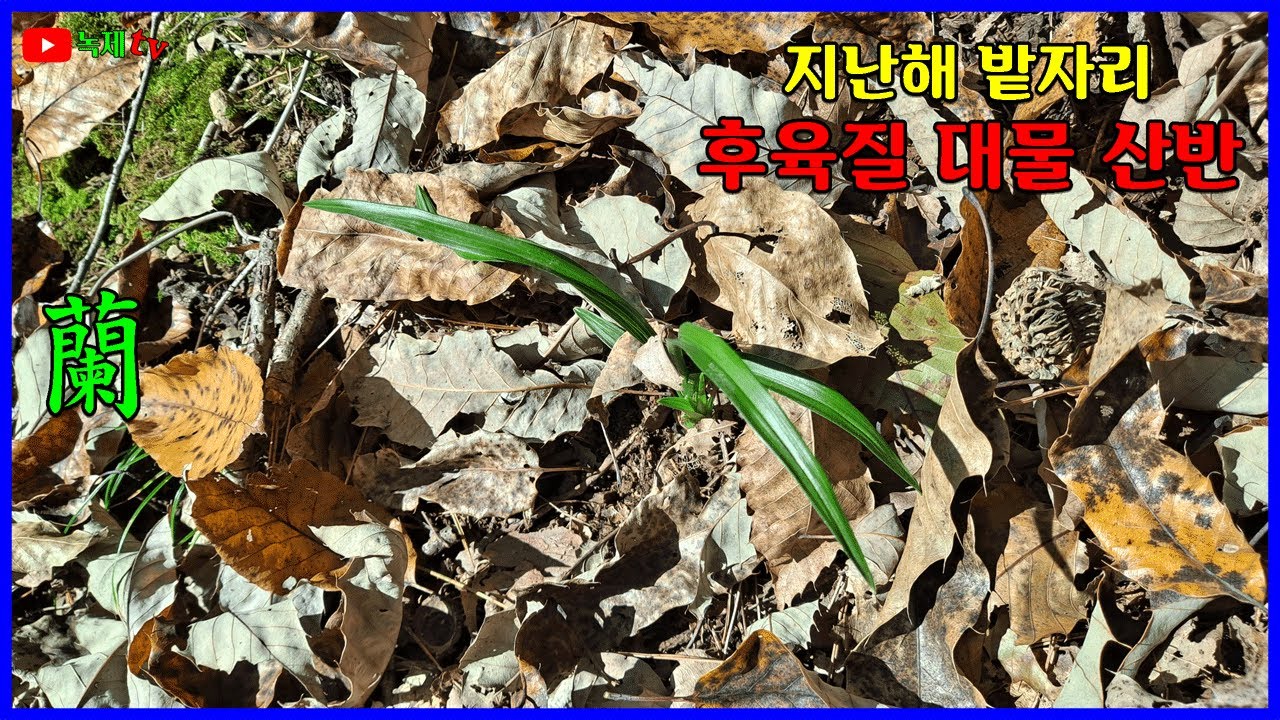 후욱질의 대물산반을 만났습니다.
