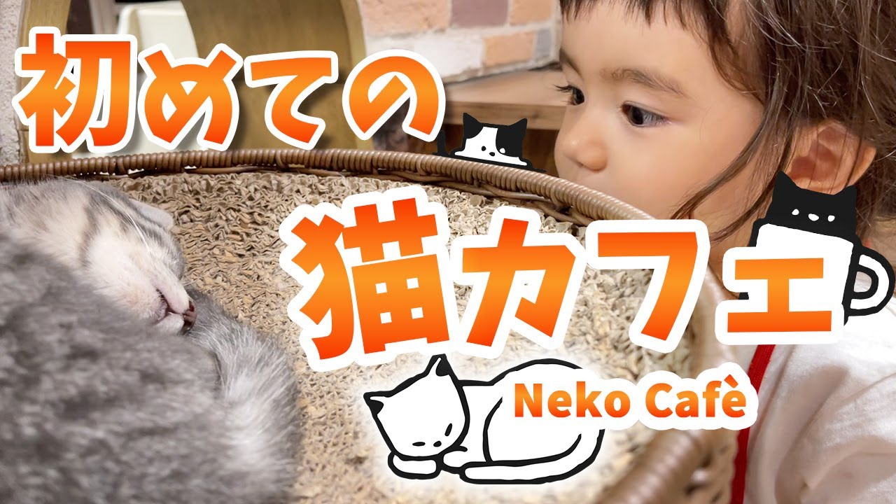 【激レア✨】０歳から入店OKな猫カフェが最高すぎた！【２歳のハーフ】国際結婚｜日本×イタリア
