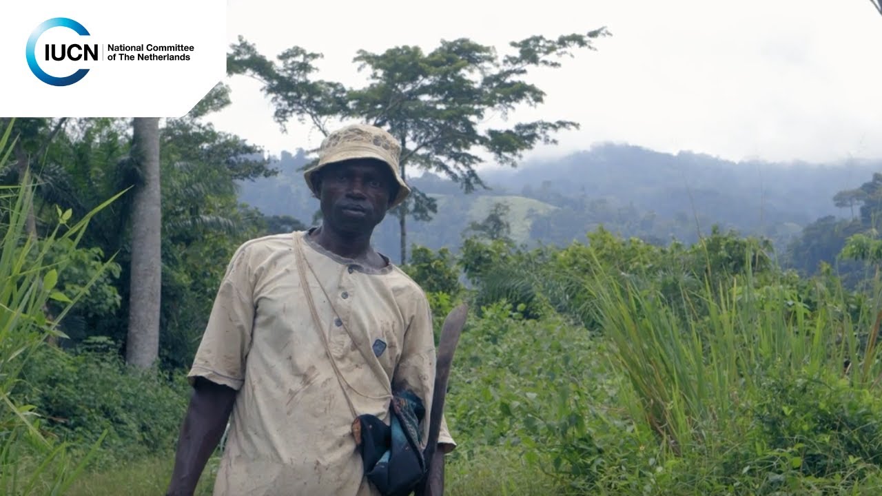 Atewa Forest - Living water from the Mountain (long version)