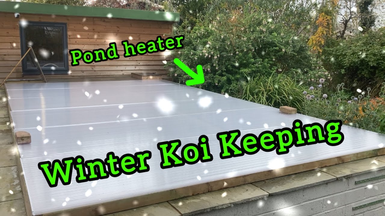 Winter Koi keeping. Pond heating costs?