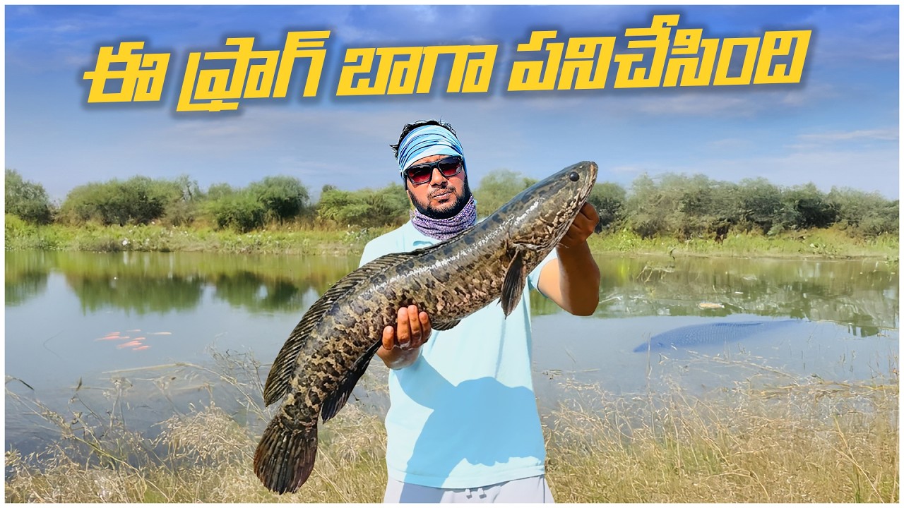 Snakehead Fishing 2026 🎣 | Snakehead Fishing in Village