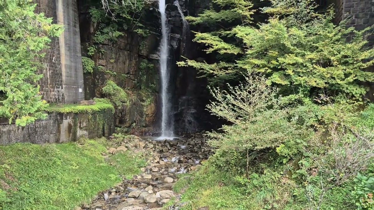 Kyoto to Edo - Day 11